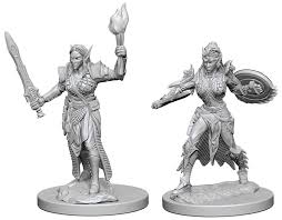 D&D Deep Cuts - Elf Female Fighter